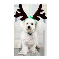 HKM-959507 Festive Short Plush Hat for Cats and Dogs with Silk Flower Decoration, Suitable for All Seasons and Genders