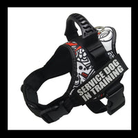 HKM-565779 Explosion-Proof Nylon Chest Harness Leash for Pets - Breathable, Wear-Resistant Design with Locking Buckle for Enhanced Stability