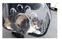 HKM-199379 Transparent Foldable Cat and Dog Backpack with Breathable 4-Sided Design
