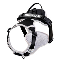 HKM-131731 Reflective Chest Harness for Small to Large Dogs - Adjustable Nylon Strap for Safe Walking