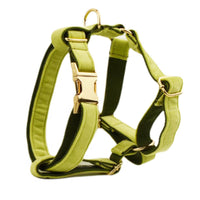 HKM-947795 Velvet Fabric Dog Collar Set with Leash, Bow, Flower, Vest, and Poop Bag