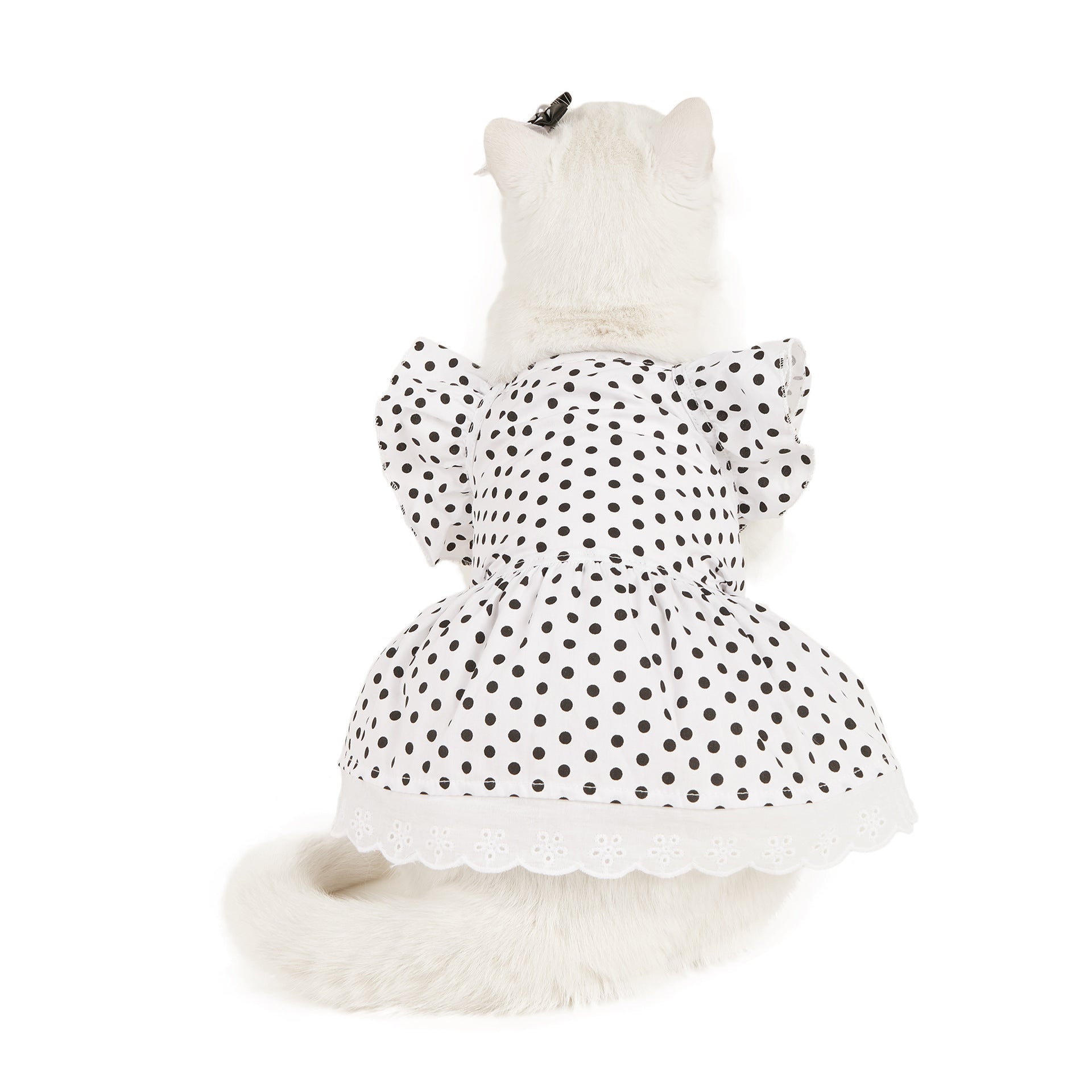 HKM-248019 Polka Dot Dress for Dogs with Matching Headband - Black and White or Red and White Options Available
