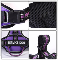 HKM-418899 Nylon Oxford Cloth Adjustable Personalized Dog Chest Strap - Available in Blue, Black, and Green