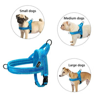 HKM-614355 No Pull Padded Leather Dog Harness with Adjustable Leash for Large Dogs - Available in Multiple Colors