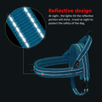 HKM-614355 No Pull Padded Leather Dog Harness with Adjustable Leash for Large Dogs - Available in Multiple Colors
