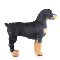 HKM-979603 Leg Rehabilitation Foot Support for Pets - Protective Gear in SBR Material, Adjustable Size for Comfort and Fit