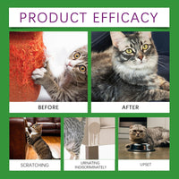 HKM-989331 Cat Emotional Care Set for Soothing and Calming During Estrus and Irritability
