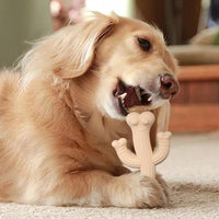 HKM-235283 Ultra Durable Cactus Chew Toy for Puppies and Dogs - Interactive Boredom Buster