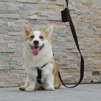 HKM-662931 Pet Outing Chest Strap in Pink Velvet, Black Velvet, Cream Velvet, and Gem Green Velvet - Available in Sizes XS, S, M, and L