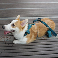 HKM-662931 Pet Outing Chest Strap in Pink Velvet, Black Velvet, Cream Velvet, and Gem Green Velvet - Available in Sizes XS, S, M, and L