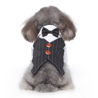HKM-868947 Stylish Dog Apparel in Various Sizes - Polyester Fabric, Comfortable Fit