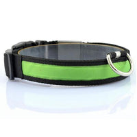 HKM-659155 Vibrant LED Light-Up Dog and Cat Collar with Replaceable Battery and USB Charging