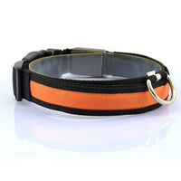 HKM-659155 Vibrant LED Light-Up Dog and Cat Collar with Replaceable Battery and USB Charging