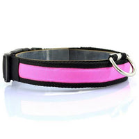 HKM-659155 Vibrant LED Light-Up Dog and Cat Collar with Replaceable Battery and USB Charging