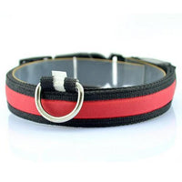 HKM-659155 Vibrant LED Light-Up Dog and Cat Collar with Replaceable Battery and USB Charging