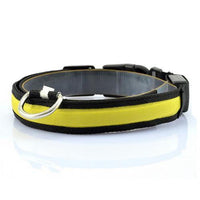 HKM-659155 Vibrant LED Light-Up Dog and Cat Collar with Replaceable Battery and USB Charging