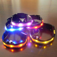 HKM-659155 Vibrant LED Light-Up Dog and Cat Collar with Replaceable Battery and USB Charging