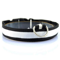 HKM-659155 Vibrant LED Light-Up Dog and Cat Collar with Replaceable Battery and USB Charging