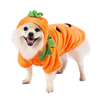 HKM-685843 Cozy Pumpkin Dog Hoodie with Handmade Leaves for Halloween Fun