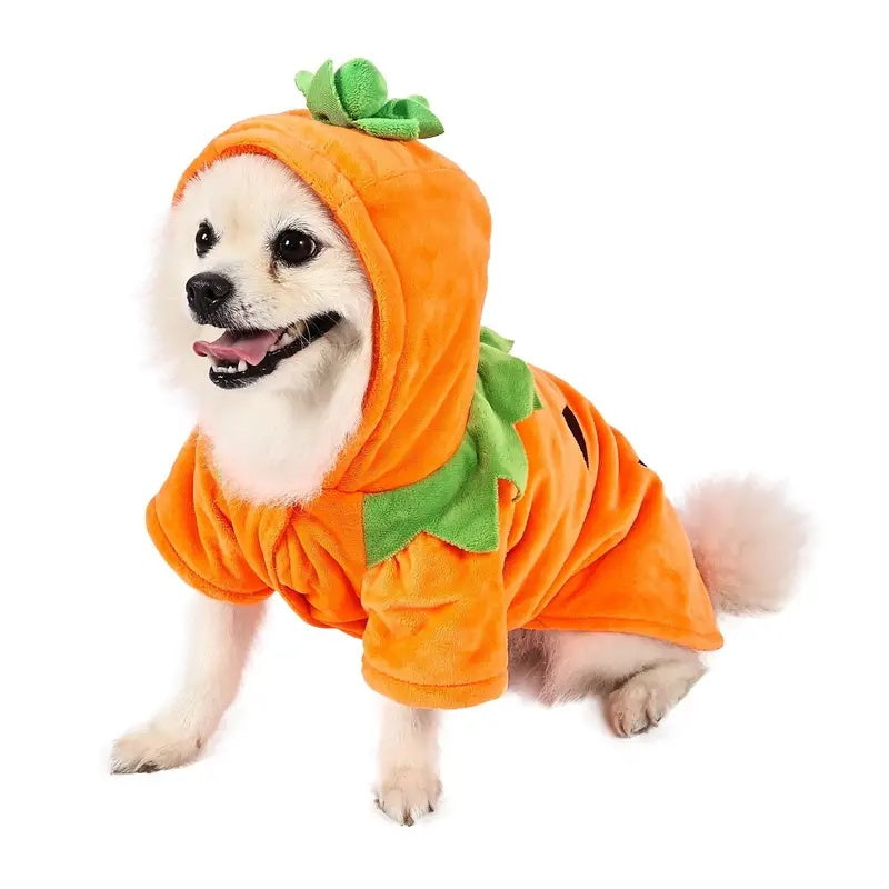 HKM-685843 Cozy Pumpkin Dog Hoodie with Handmade Leaves for Halloween Fun