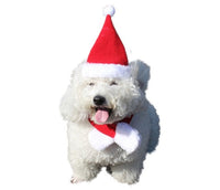 HKM-912083 Adjustable Christmas Pet Headband with Elk Antlers for Dogs and Cats - Fleece and Velvet Set