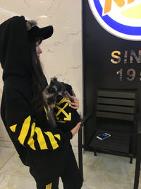 HKM-483475 Fleecy Cotton and Spandex Puppy Sweater with Hood, Multiple Colors Available