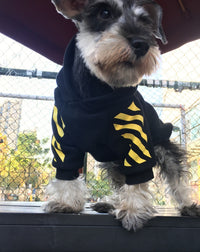 HKM-483475 Fleecy Cotton and Spandex Puppy Sweater with Hood, Multiple Colors Available