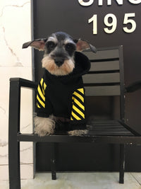 HKM-483475 Fleecy Cotton and Spandex Puppy Sweater with Hood, Multiple Colors Available