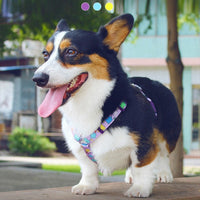HKM-321747 I-shaped Chest Harness for Dogs - Durable Nylon Strap for All Breeds
