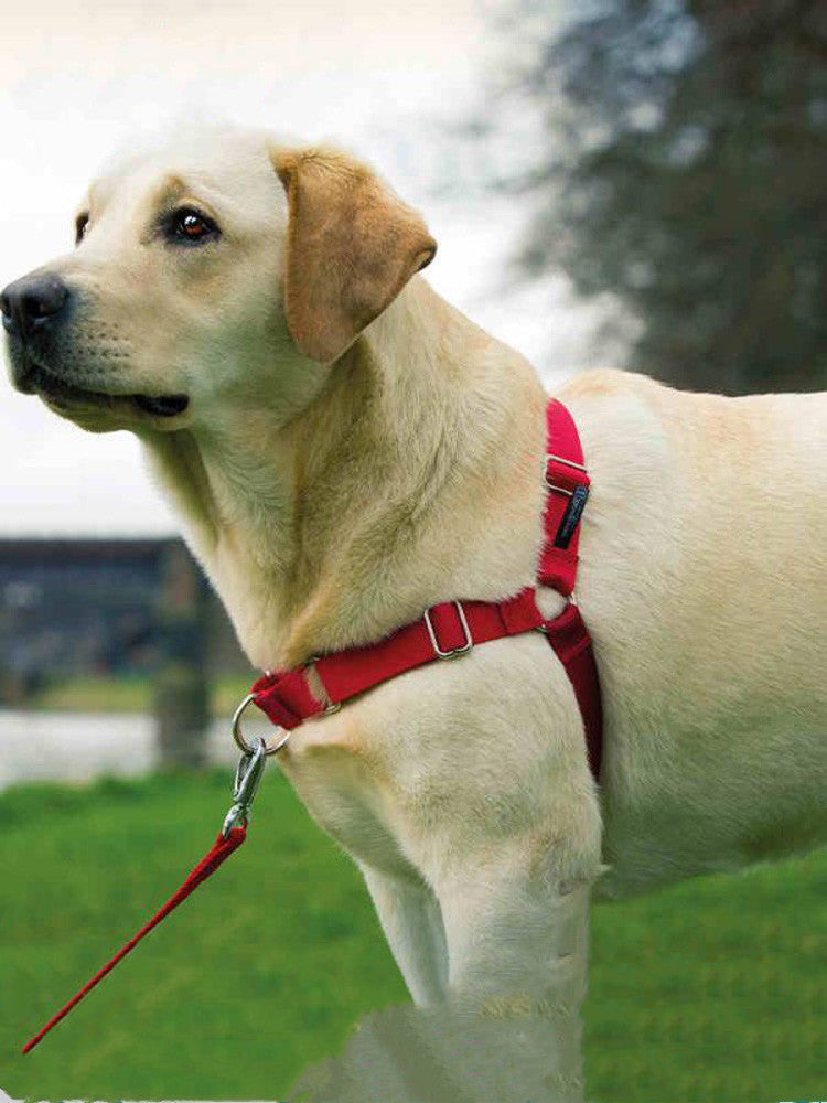 HKM-842259 Adjustable Nylon Dog Walking Collar in Black and Red - Sizes XS to XL Available