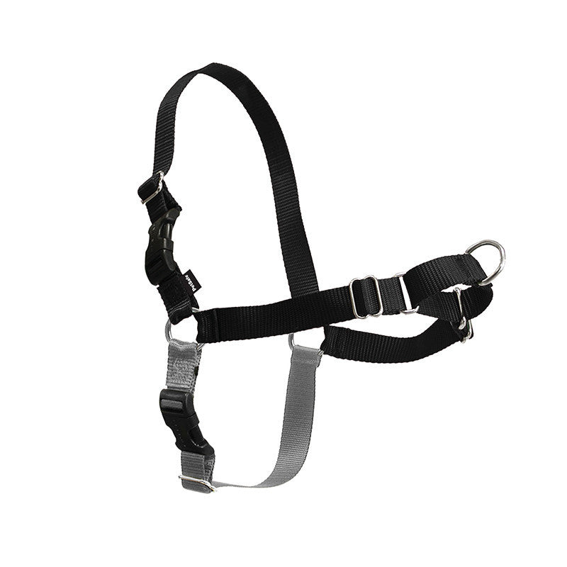 HKM-842259 Adjustable Nylon Dog Walking Collar in Black and Red - Sizes XS to XL Available