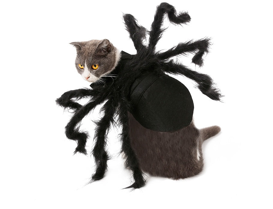 HKM-801107 Pet Spider Costume for Dogs and Cats - Feather Dress Up Outfit for Halloween and Parties