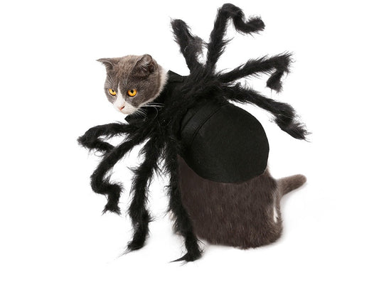 HKM-801107 Pet Spider Costume for Dogs and Cats - Feather Dress Up Outfit for Halloween and Parties