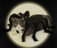 HKM-801107 Pet Spider Costume for Dogs and Cats - Feather Dress Up Outfit for Halloween and Parties