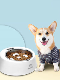 HKM-619091 Stainless Steel Anti-Tipping Weighing Bowl for Cats and Dogs, 500g Capacity
