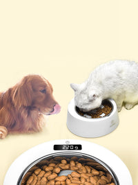 HKM-619091 Stainless Steel Anti-Tipping Weighing Bowl for Cats and Dogs, 500g Capacity