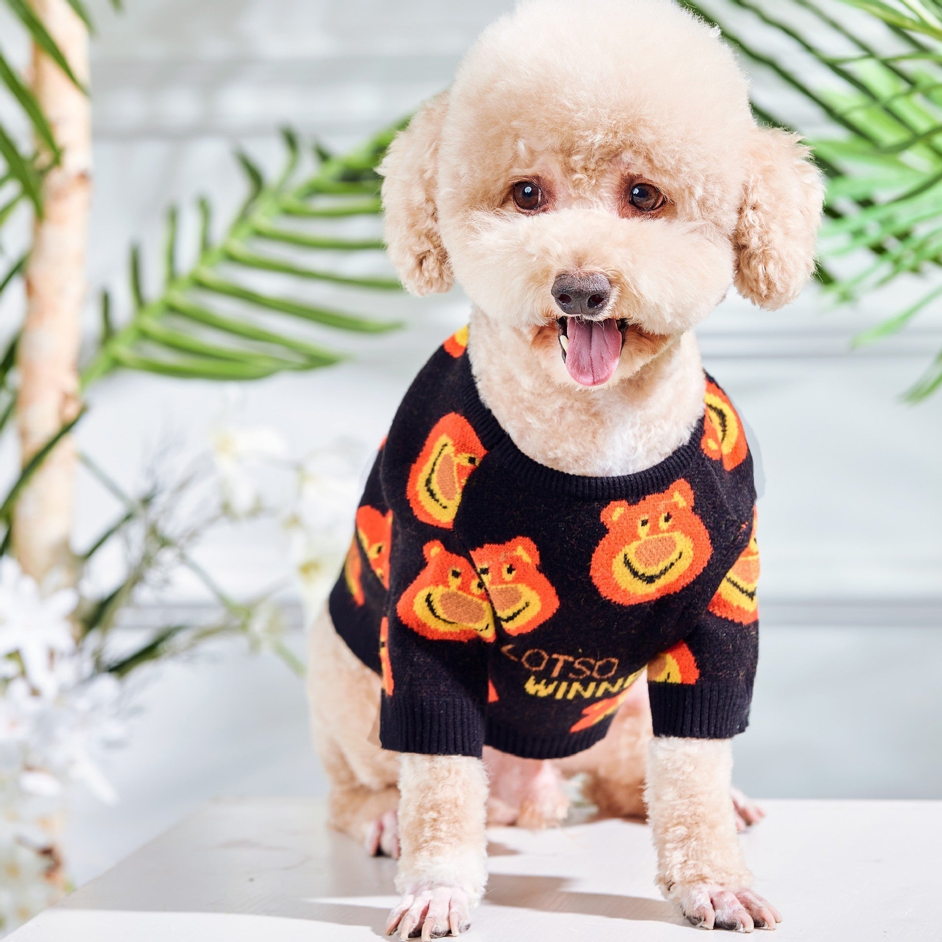 HKM-946835 Cozy Black Plush Cat Sweater for Warmth and Style