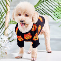 HKM-946835 Cozy Black Plush Cat Sweater for Warmth and Style