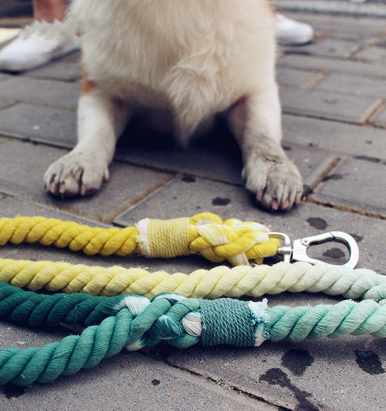 HKM-181459 Hand-Woven Cotton Dog Walking Traction Rope - 100CM, Tropical Beach Design
