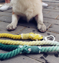 HKM-181459 Hand-Woven Cotton Dog Walking Traction Rope - 100CM, Tropical Beach Design