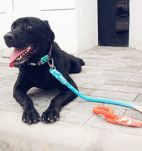 HKM-181459 Hand-Woven Cotton Dog Walking Traction Rope - 100CM, Tropical Beach Design