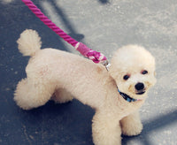 HKM-181459 Hand-Woven Cotton Dog Walking Traction Rope - 100CM, Tropical Beach Design