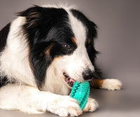 HKM-423827 Round Rubber Food Dispensing Pet Toy Ball for Dogs - Eco-Friendly Puzzle Teeth Cleaning Toy