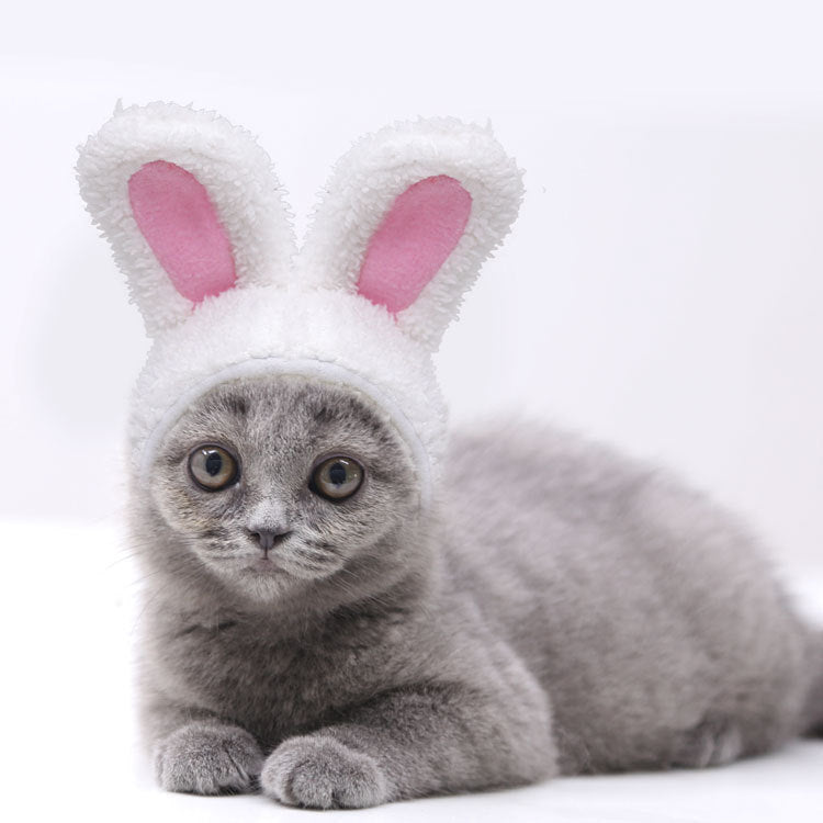 HKM-257875 Warm White Cashmere Rabbit Ears Hat for Pets, Suitable for 5-15 Cats