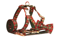 HKM-964755 Green Snowflake Christmas Pet Collar Set with Leash, Bow, and Vest ¨C Perfect for Festive Celebrations