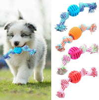 HKM-386451 Durable Chew Toy for Dogs with Rope - Soft Molar Tooth Cleaning Treat for Oral Health, Blue