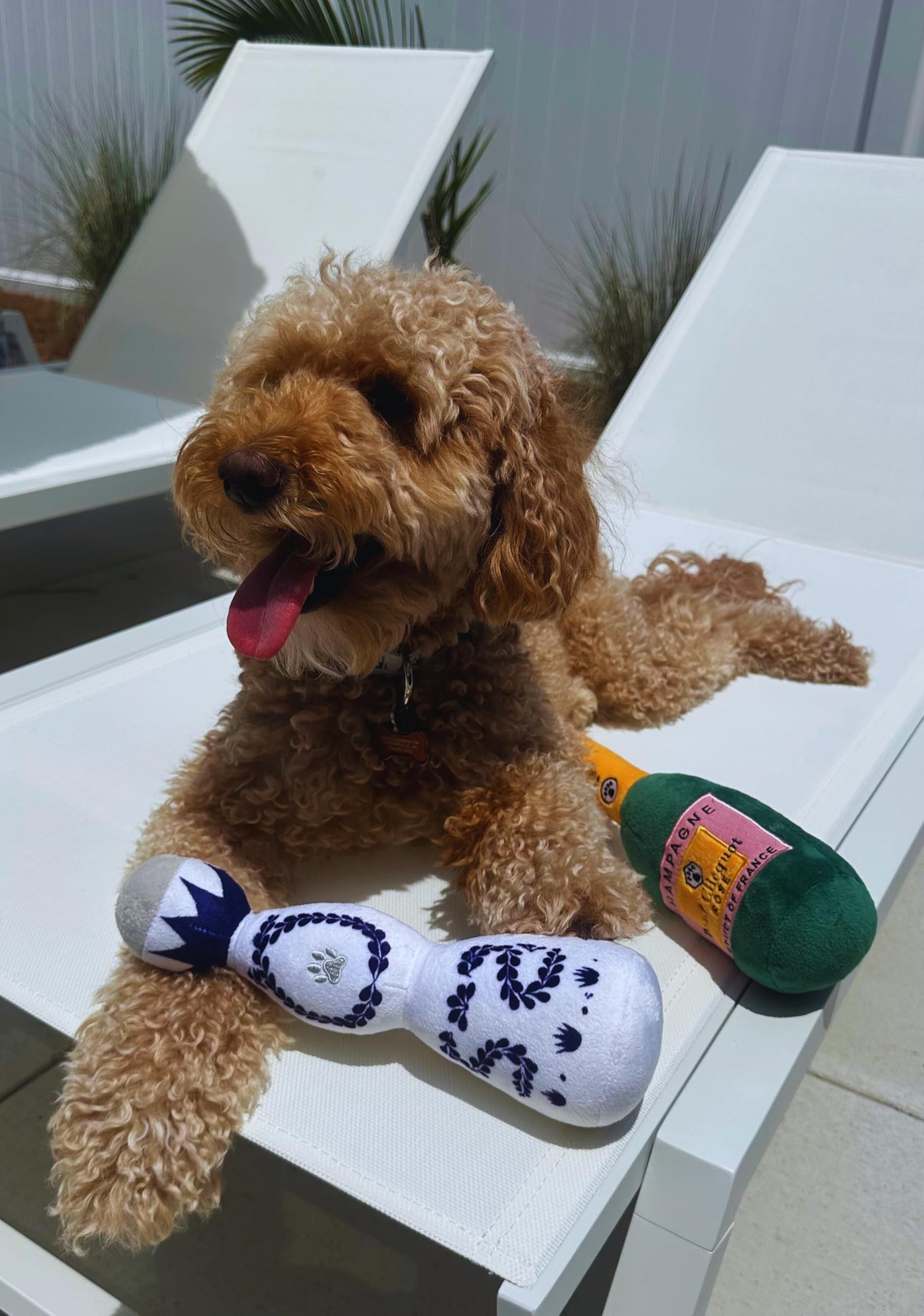 HKM-202515 Plush Tequila Bottle Dog Toy with Squeaker for Interactive Fun, All Dog Sizes