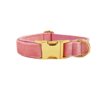 HKM-957523 Soft Fabric Velvet Pet Collar with Adjustable Sizes and Accessories