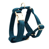 HKM-957523 Soft Fabric Velvet Pet Collar with Adjustable Sizes and Accessories