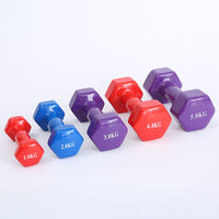 HKM-652883 Colorful Fitness Dumbbells for Home Workouts and Strength Training